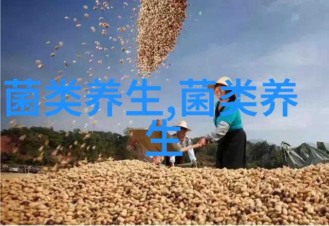 养生建议灵芝孢子粉饭前吃还是饭后吃