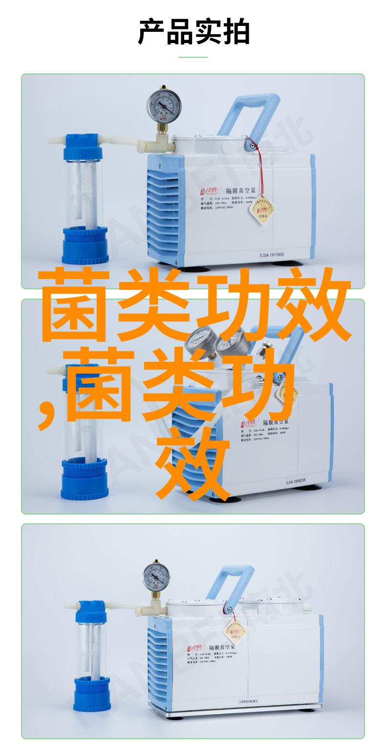 美国蘑菇城竖逾600斤重蘑菇雕塑贺新年