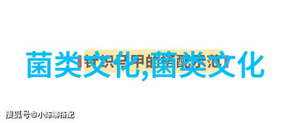 奢华的盐边黑松露这简直是来自天堂的味道