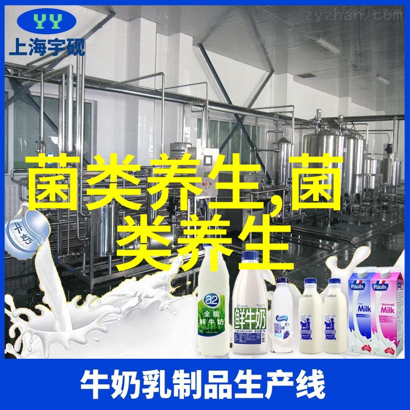 长 根 菇一种理想的健康食品