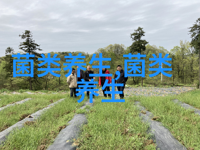 老人秋季食补方木耳土豆汤可改善消化机能