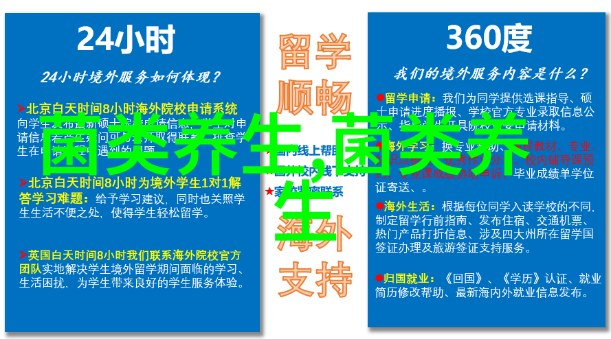 香菇人类的保健精品