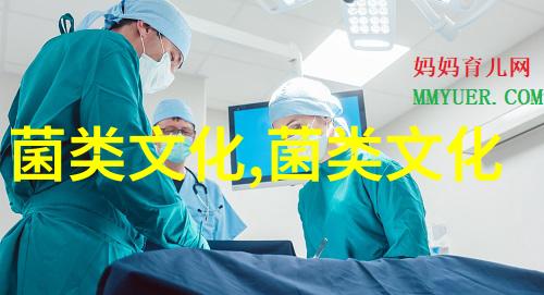 山间寻松茸二