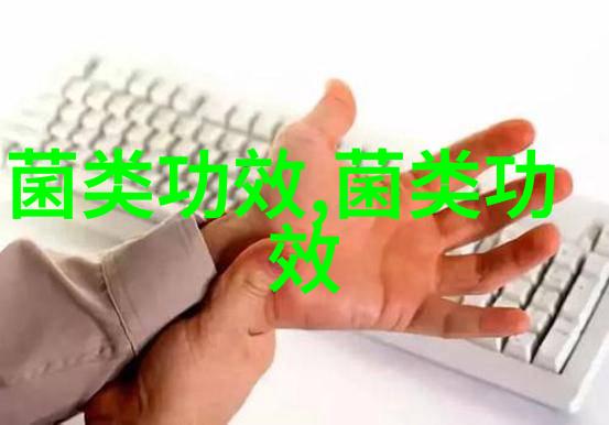肉牛菌菇致富很靠谱