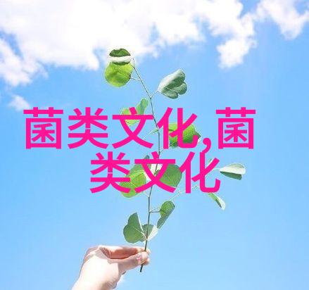 灵芝传说 药王孙思邈竟然与灵芝姑娘有关