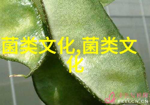 天麻的故事