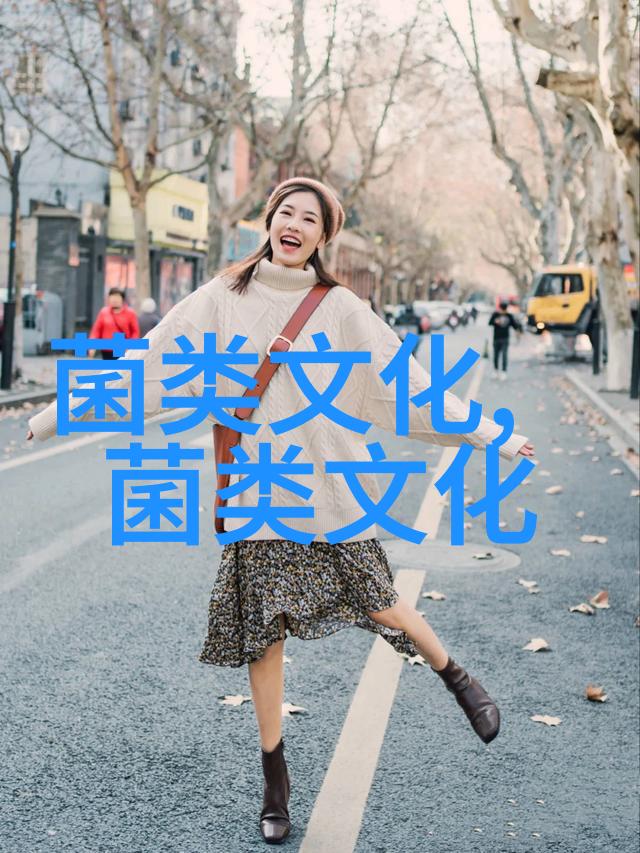 食用菌家族之成员姬松茸