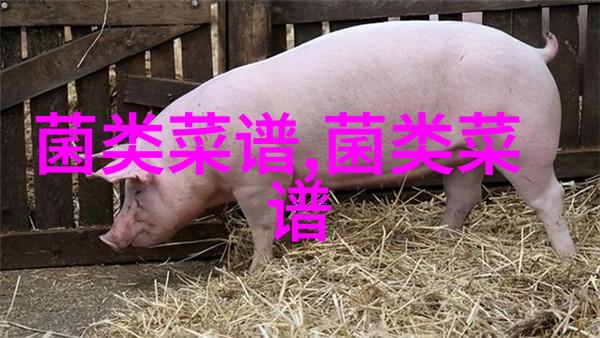 灵芝黑豆煲水瓜