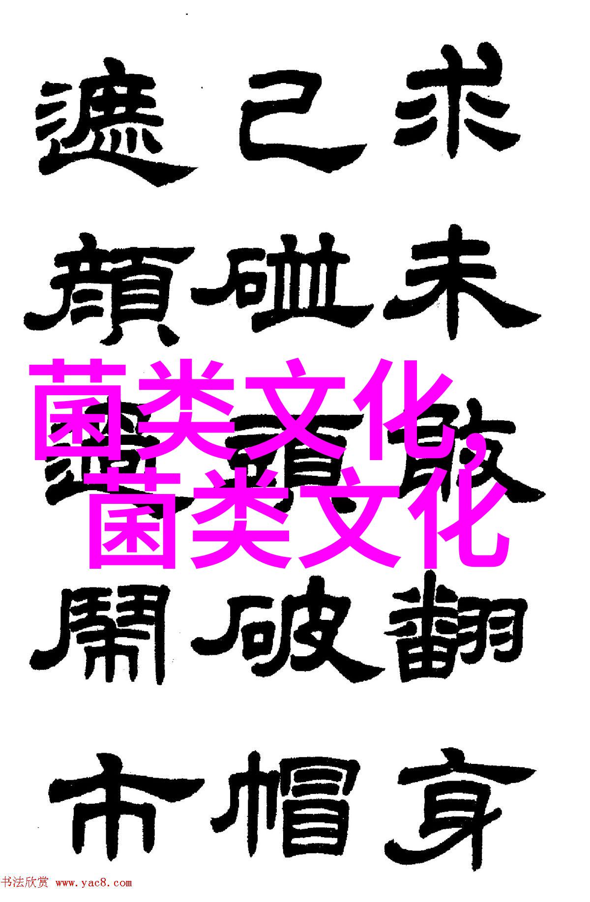 山珍里的秘密