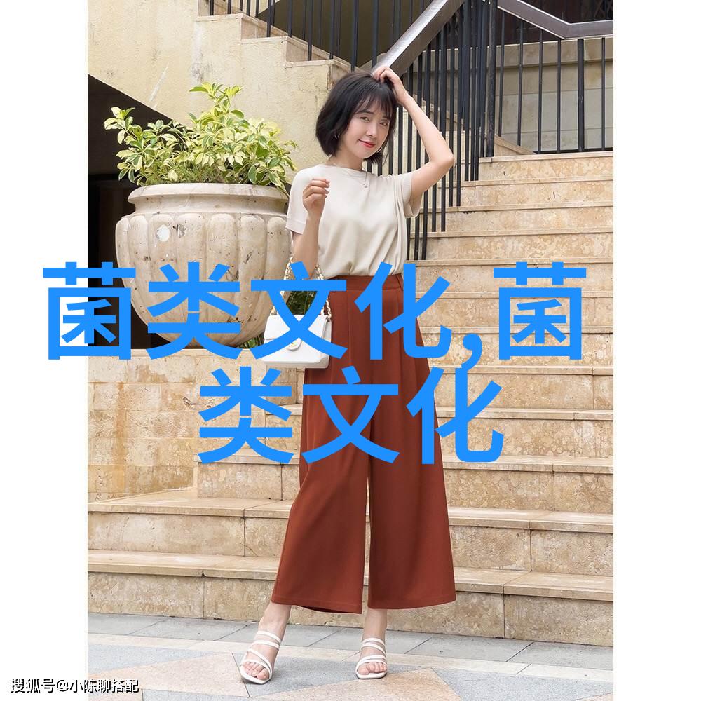 波兰人的蘑菇情愫