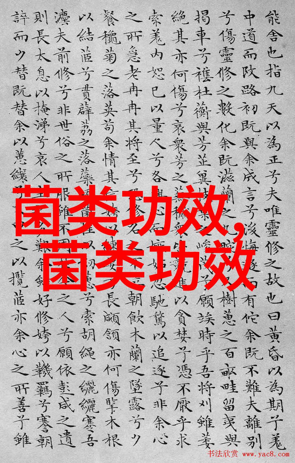 湖南泸溪小菌菇撑起大产业 小车间带动大就业