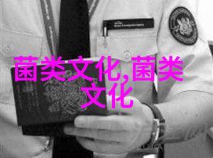 到瑞典采蘑菇 跟着老手辨识毒蘑