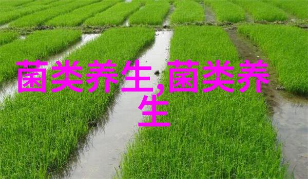 菌菇怎么吃才能真正收获好处