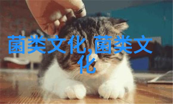 吴三公与香菇的传奇故事
