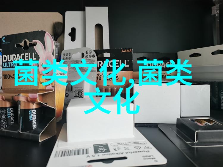 干巴菌 野生菌之中的黑珍珠